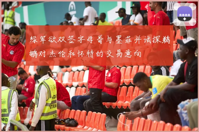 绿军欲双签字母哥与墨菲并试探鹈鹕对杰伦和怀特的交易意向